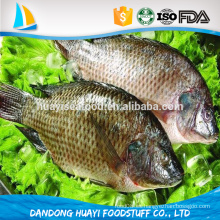 Tilapia congelada entera (Oreochromis niloticus)